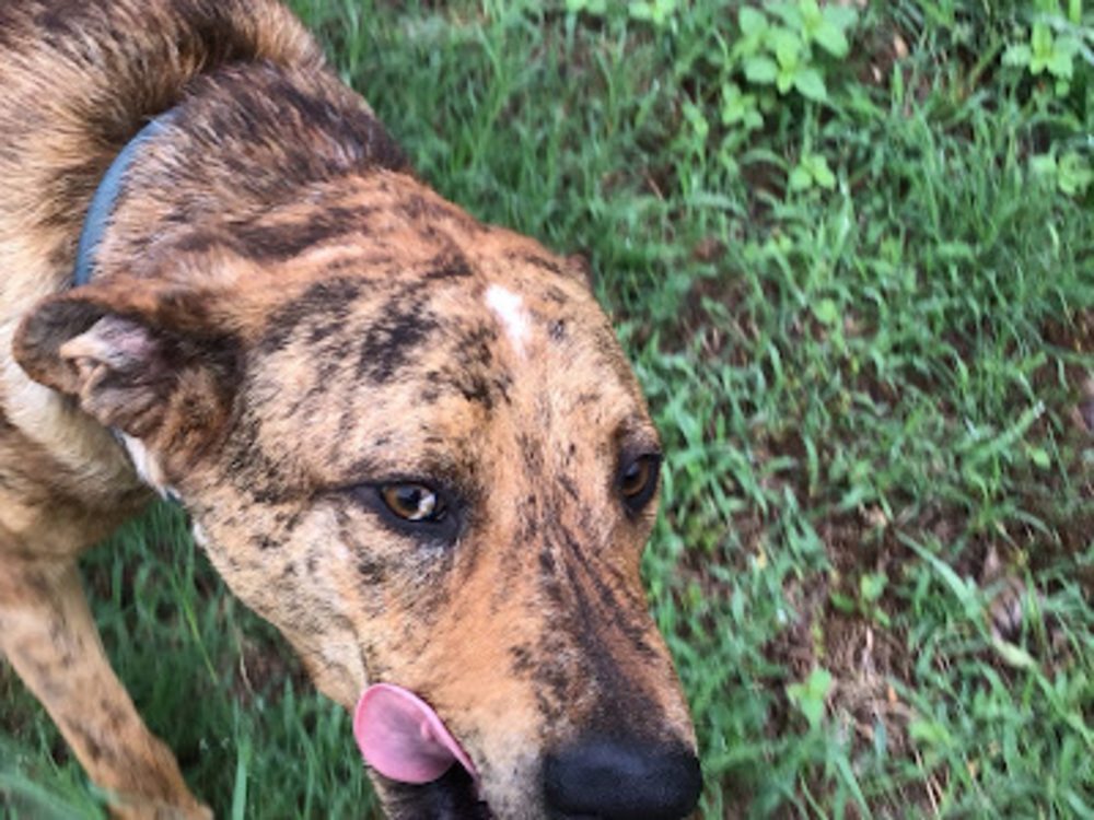 Meet your Posher, Jon